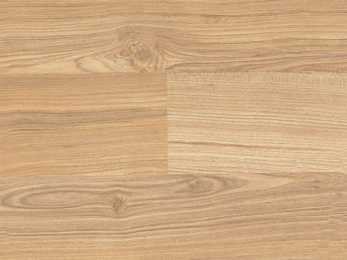 75̖�pƴ������ľ