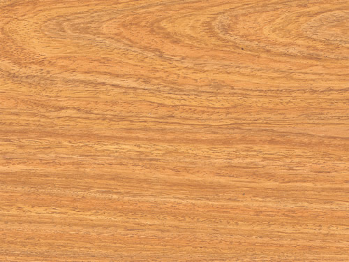 �h���S����