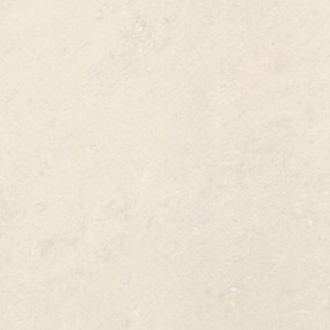 �A�y�{����