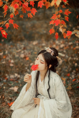 《洞房奇谭》在线观看免费